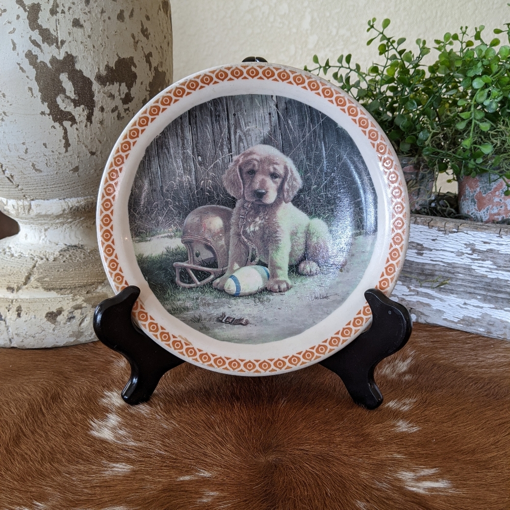 Restaurant Ware Shenango China Plate Decoupage
